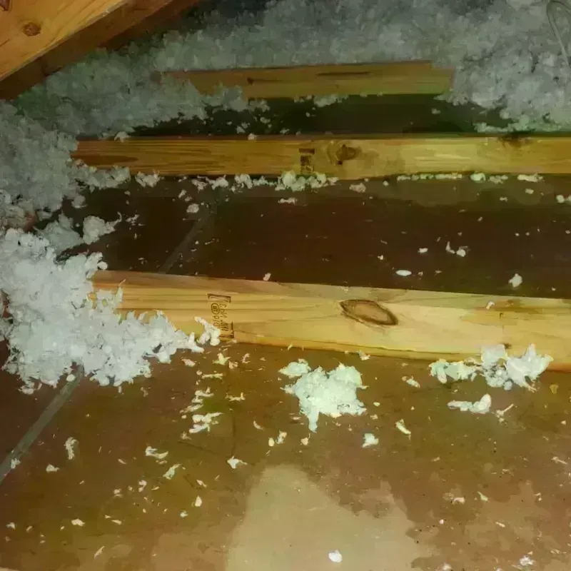 Attic Water Damage in Warrenton, OR